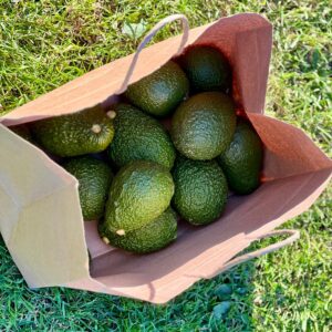 10 Avocados Delivered